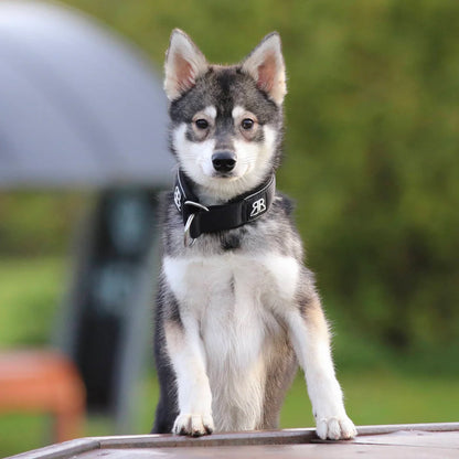 Halsband zum Überziehen 4cm - Schwarz