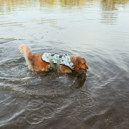 Hunde-Schwimmweste Evergreen