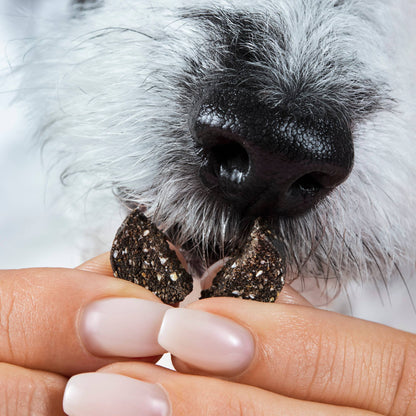 Darmpflege Drops - Ergänzungs-Snack für Hunde