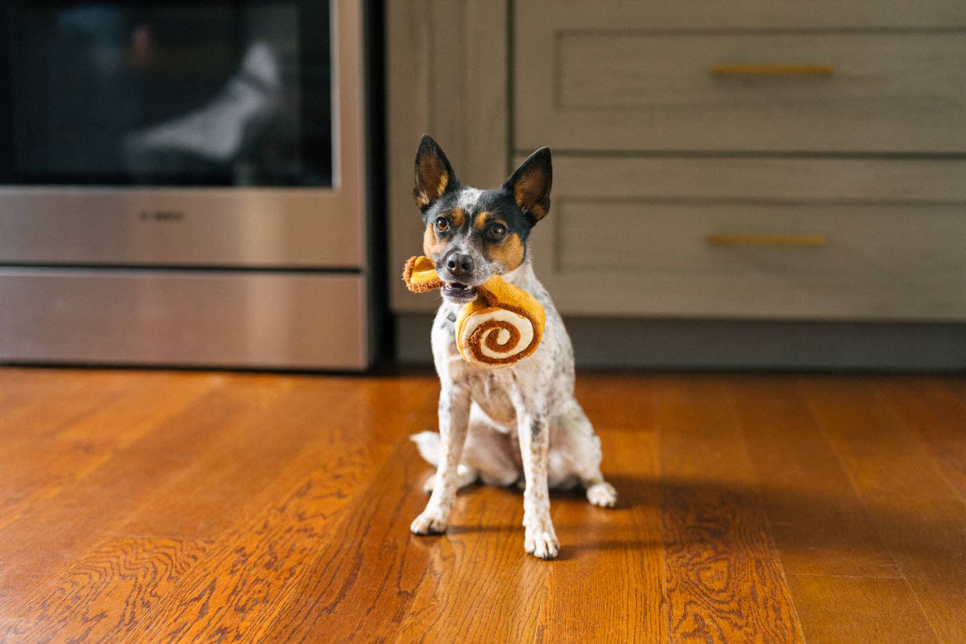 Cinnabon-e Spielzeug - Zimtschnecke mit Quietscher