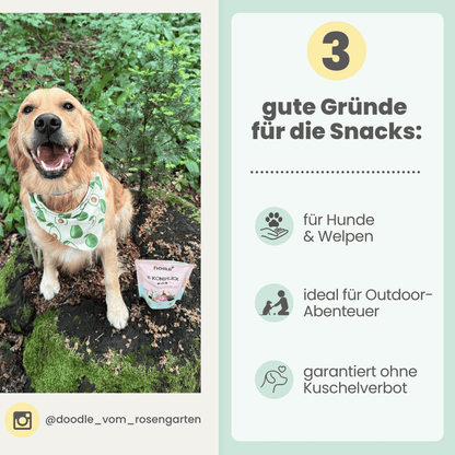 Z-Complex for Dogs: Delicious Soft Snack for Forest & Field
