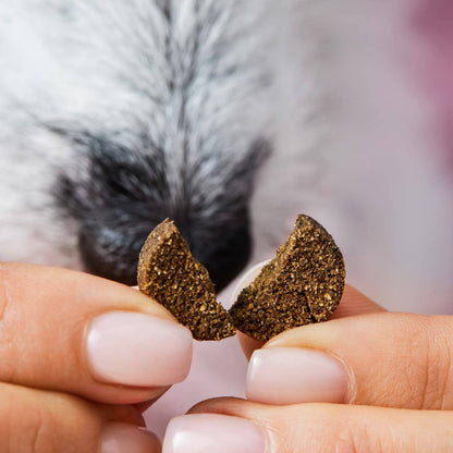 Gras- & Kotfresser Drops – Natürliche Unterstützung bei Gras- und Kotfressen