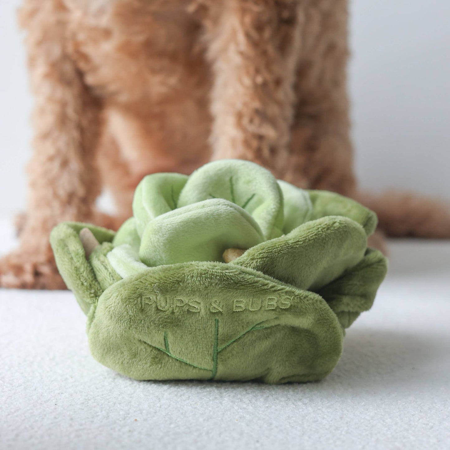 Sniffing toy - Sniffing cabbage