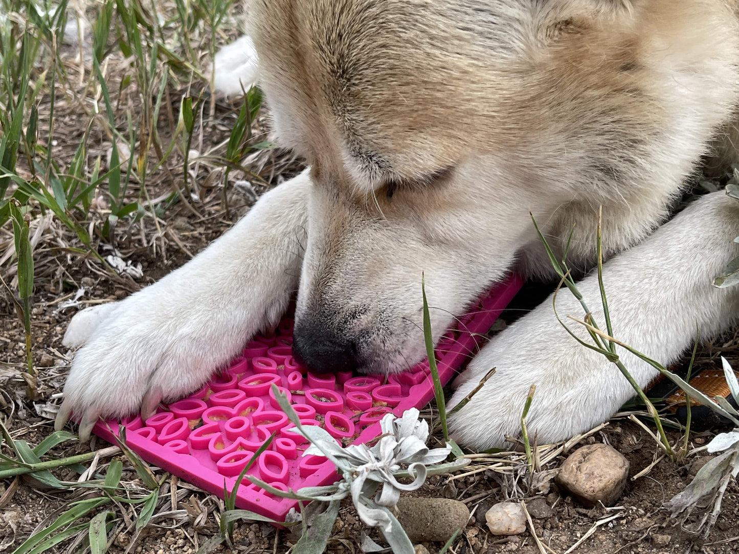 Lick mat 'Flower Power' - lick mat with suction cups