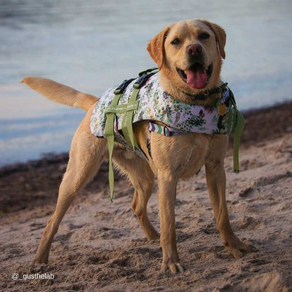 Hunde-Schwimmweste Evergreen