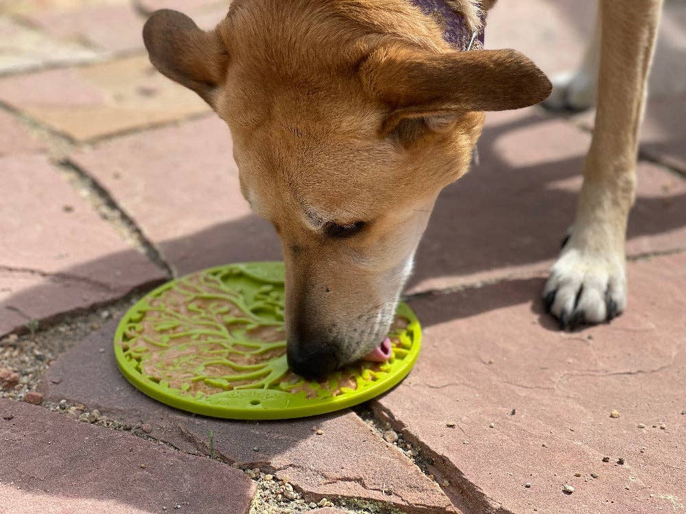 Lick mat 'Tree of Life' - lick mat with suction cups