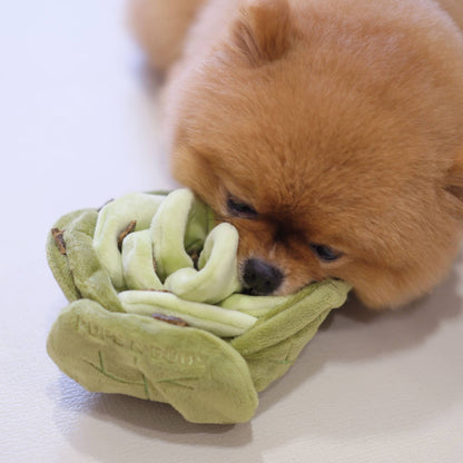 Sniffing toy - Sniffing cabbage