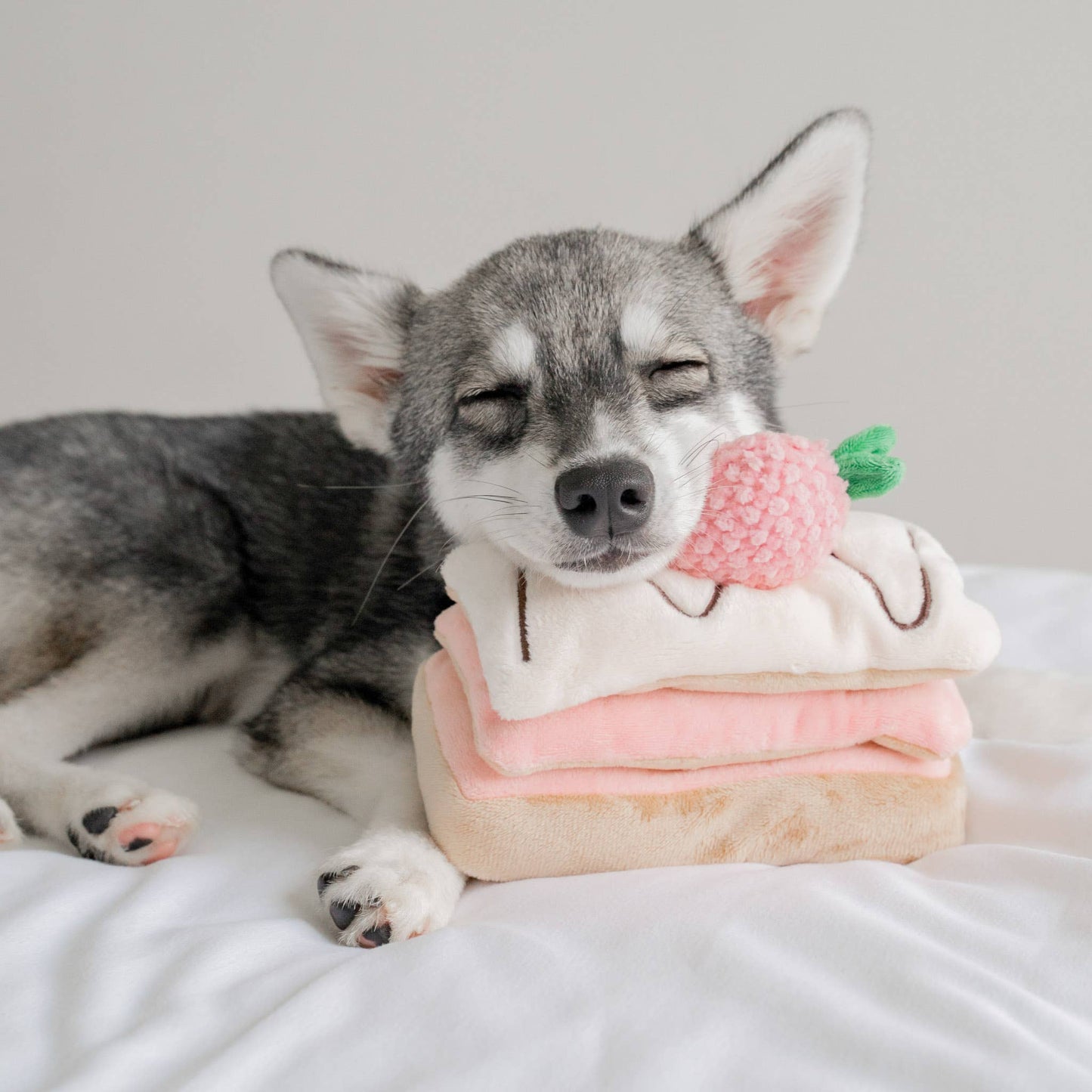 Sniffing toy - Strawberry Mille-Feuille