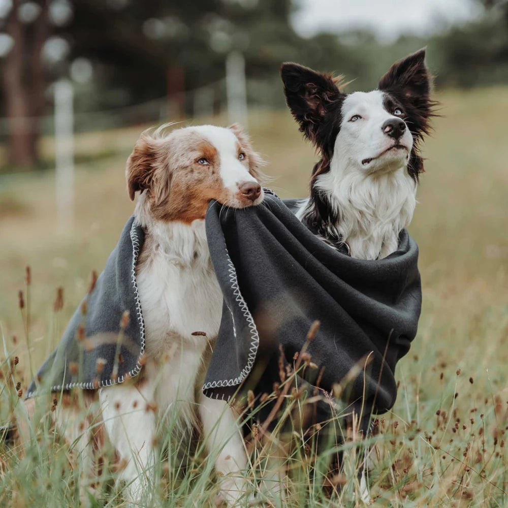 Hundedecke Casper - Anthrazit