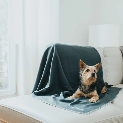 Hundedecke Casper - Anthrazit