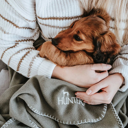 Hundedecke Casper - Grün