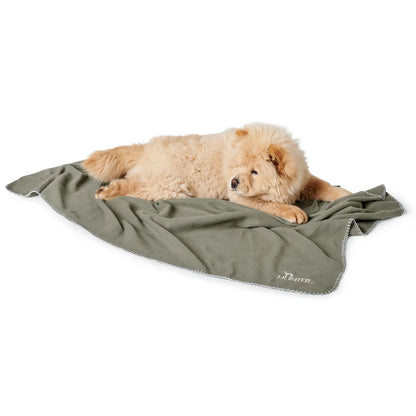 Hundedecke Casper - Grün
