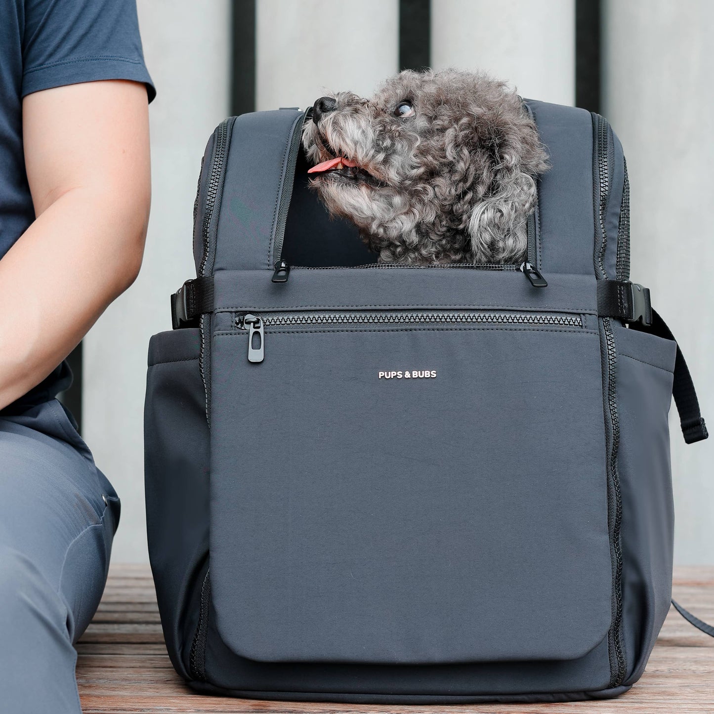 Backpack for dogs and cats