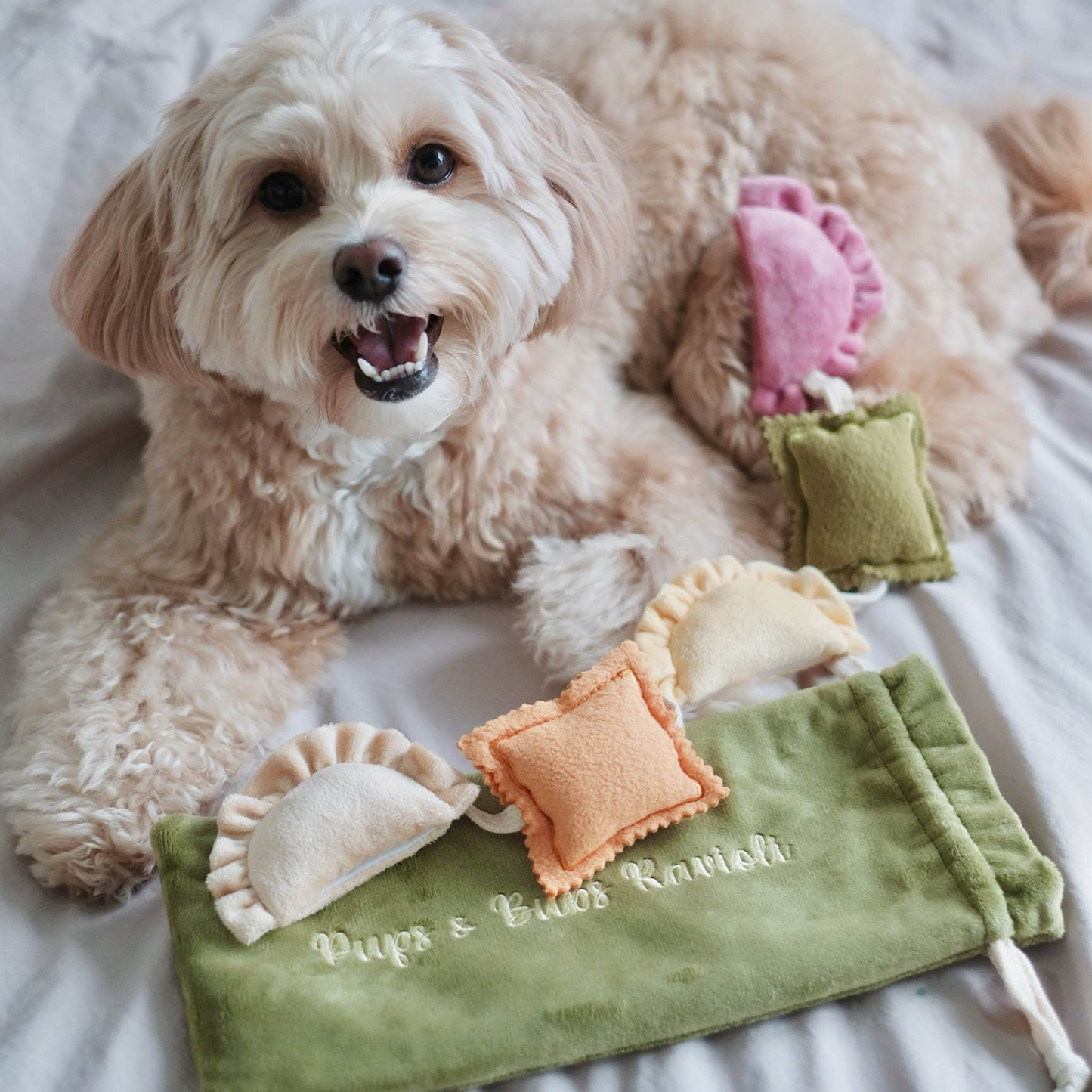 Sniffing toy - Ravioli