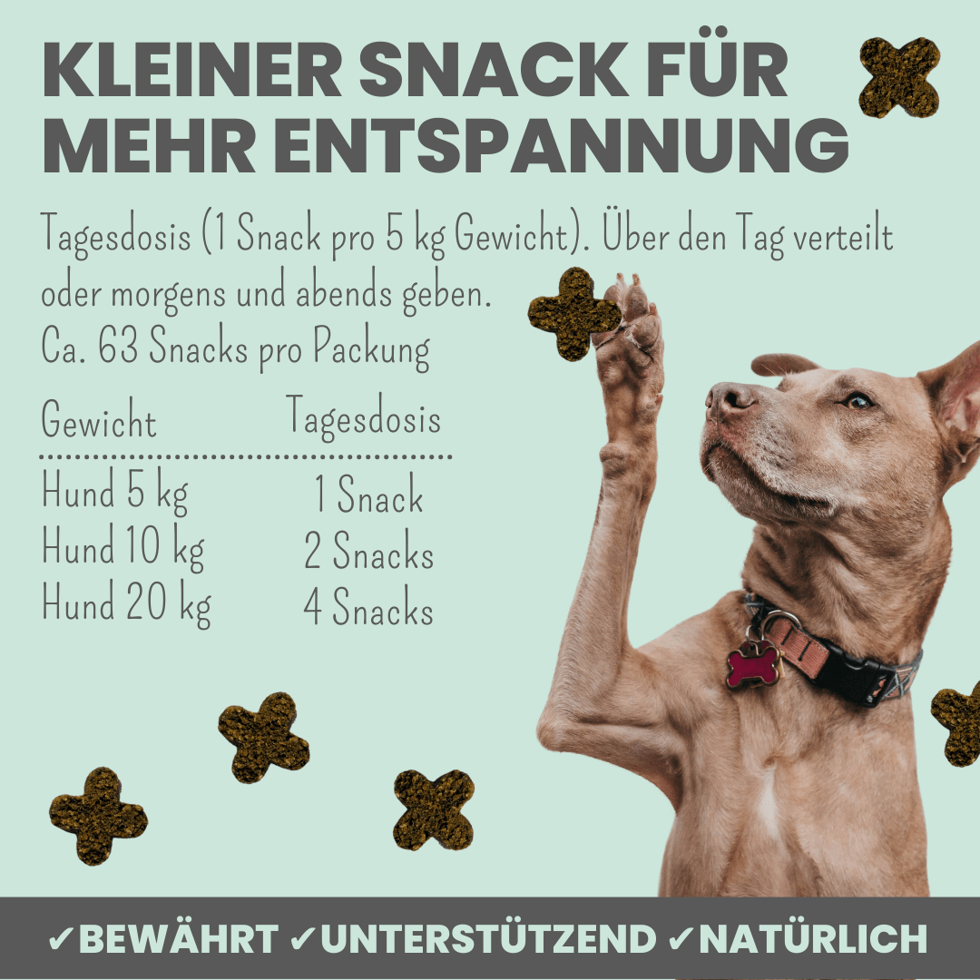 Wohlfühlsnacks für Hunde bei Stress, Angst & Unruhe