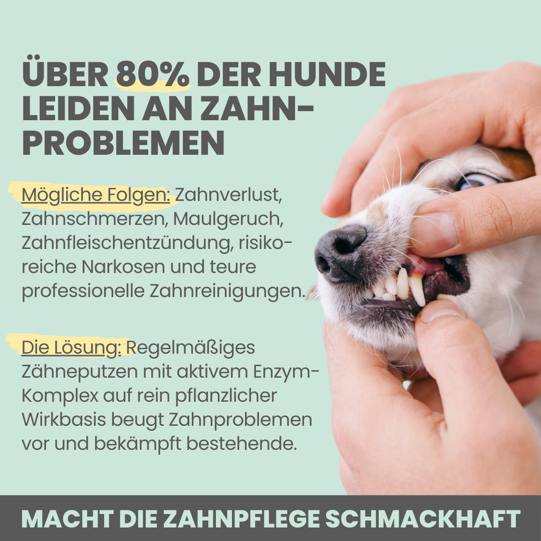 Enzymodent: Enzymatische Zahnpasta für Hunde mit natürlicher Pflege- und Präventionsformel