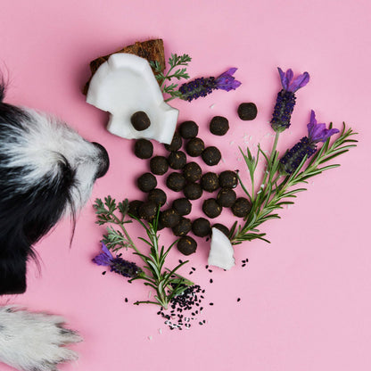 Z-Snack - Ergänzungs-Snack für Hunde