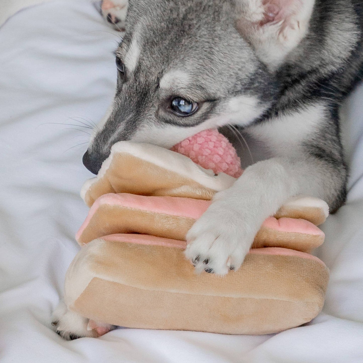 Sniffing toy - Strawberry Mille-Feuille