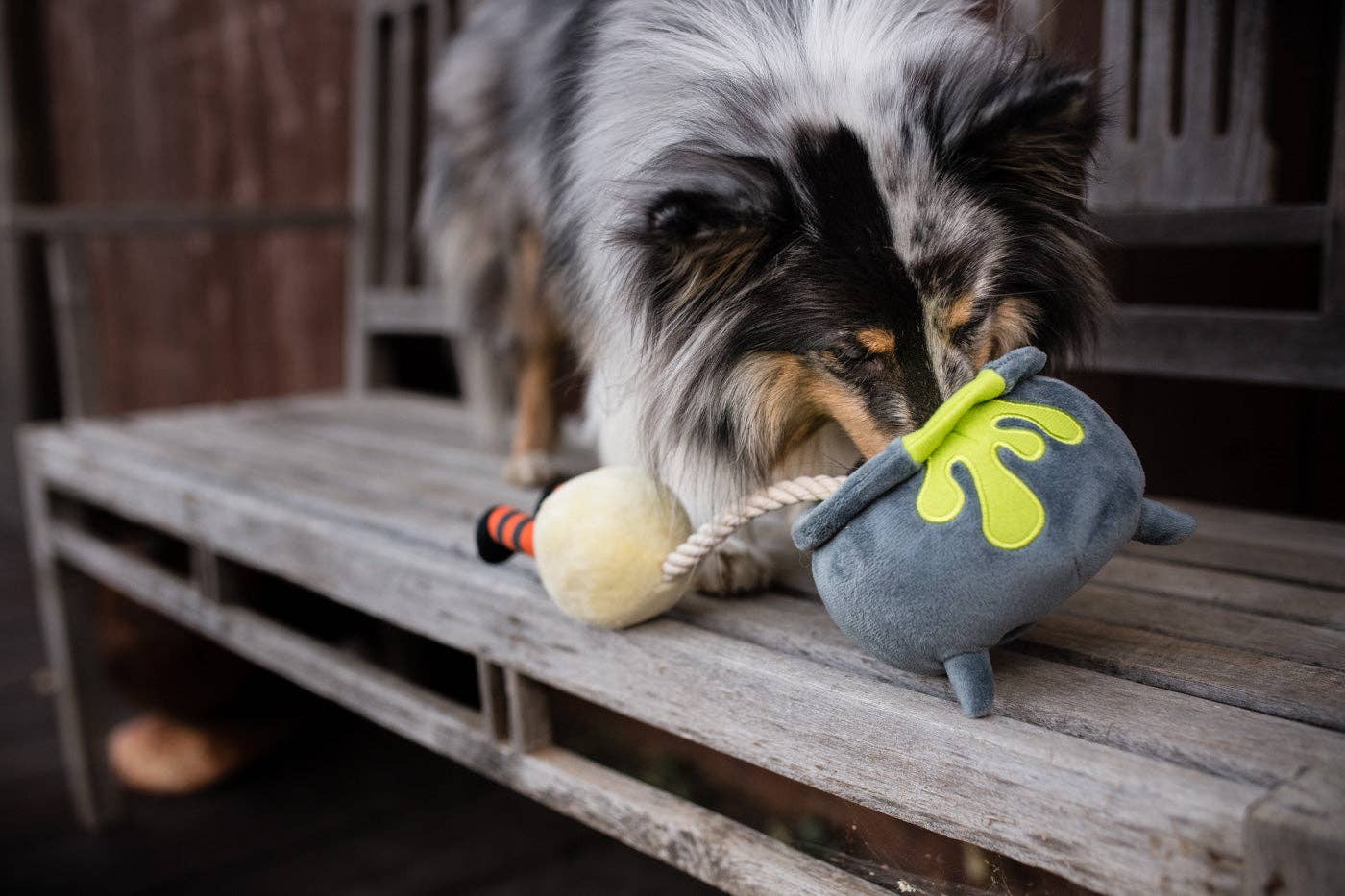 Hundespielzeug Spukwelpen-Trank