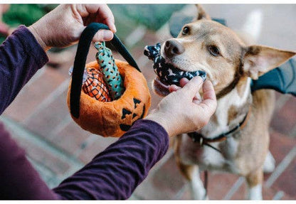 Hundespielzeug Howl-o-ween Leckerli-Korb
