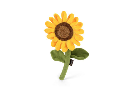 Plüsch-Sonnenblume