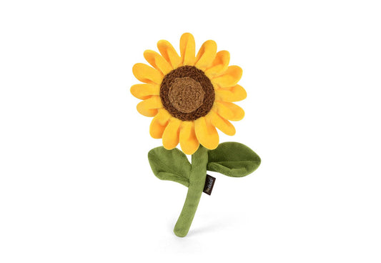 Plüsch-Sonnenblume