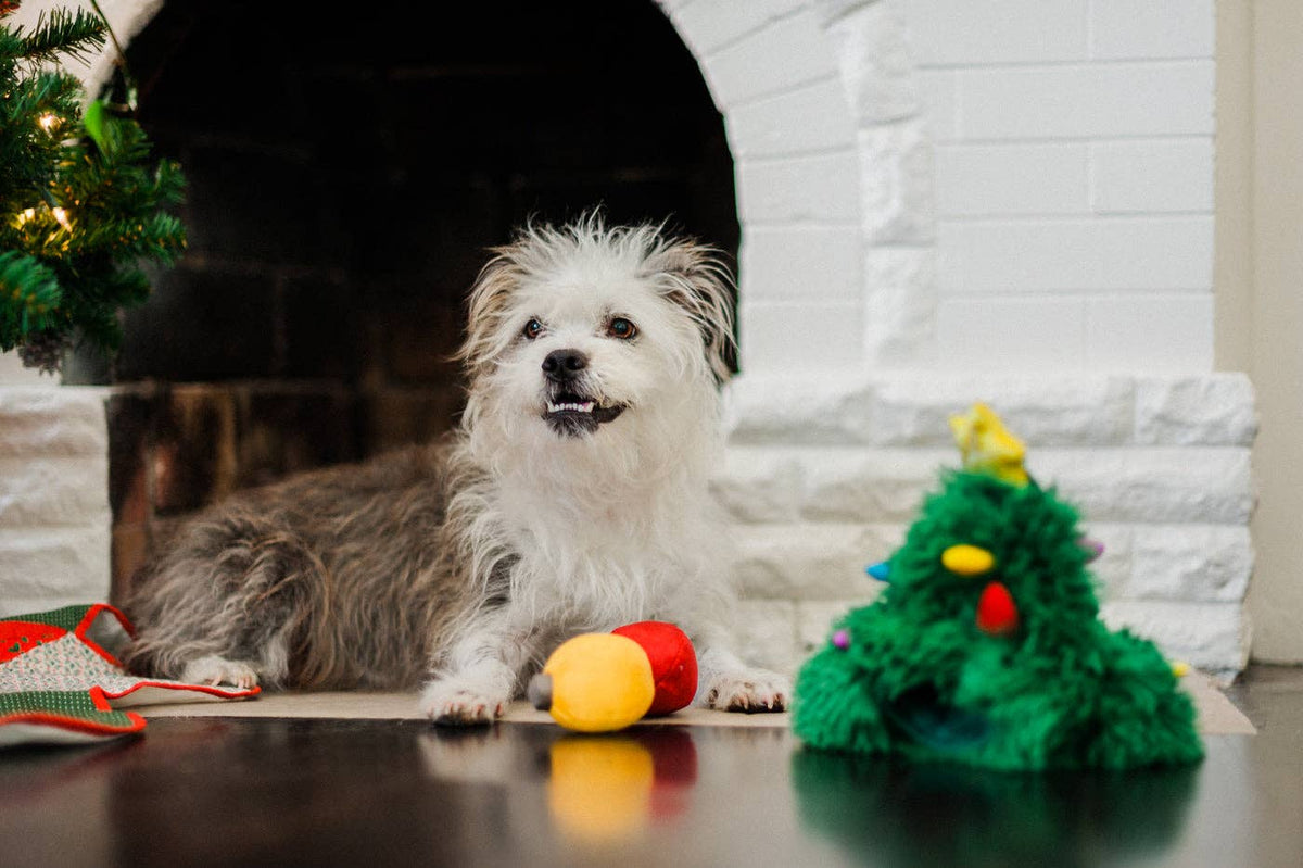 Merry Woofmas Spielzeug - Douglas Fur