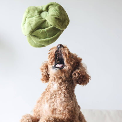 Sniffing toy - Sniffing cabbage