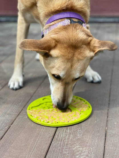 Lick mat 'Tree of Life' - lick mat with suction cups