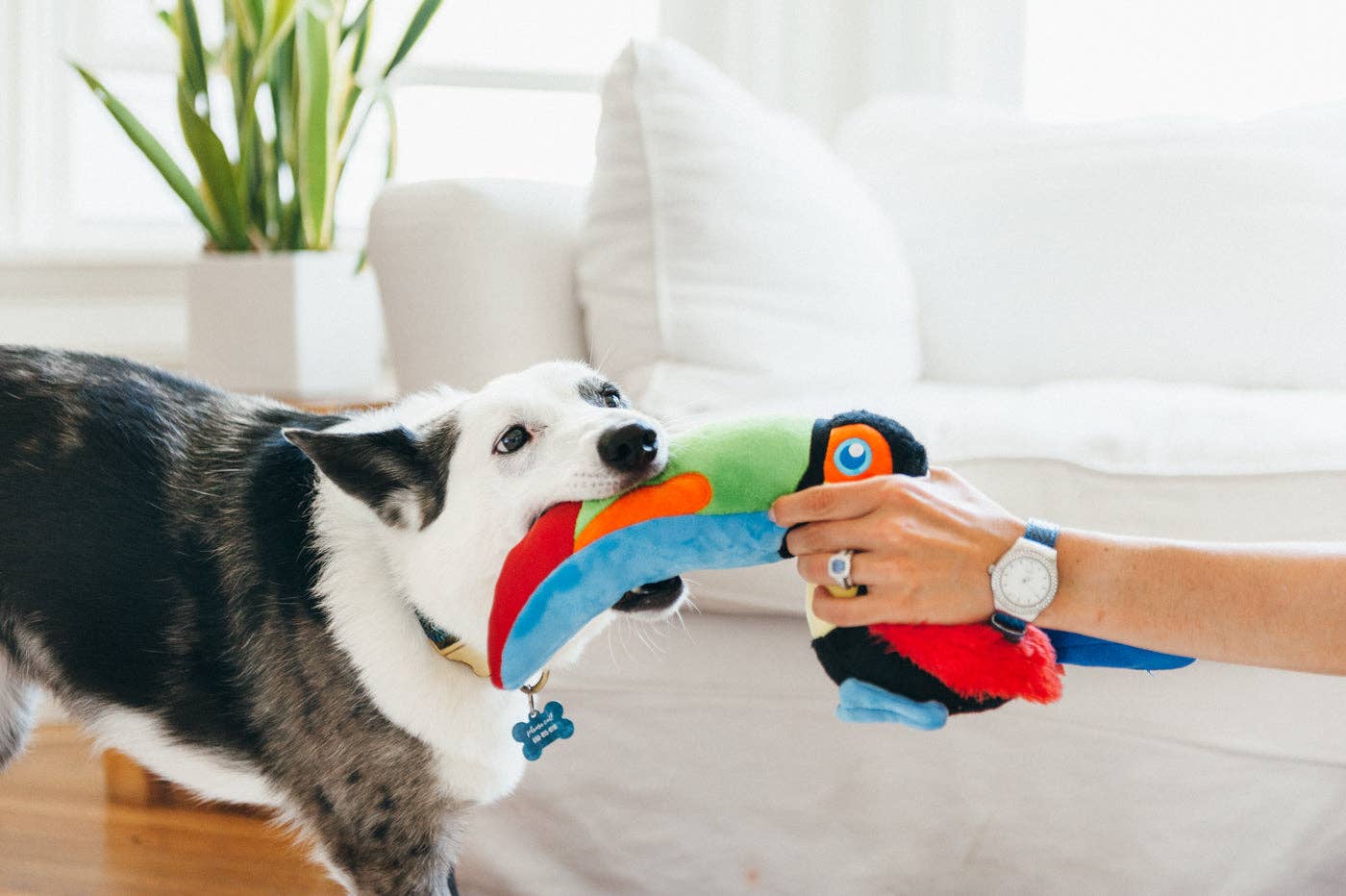 Plüsch Tito the Toucan