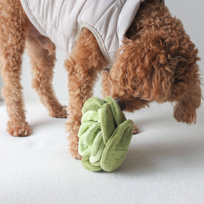 Sniffing toy - Sniffing cabbage