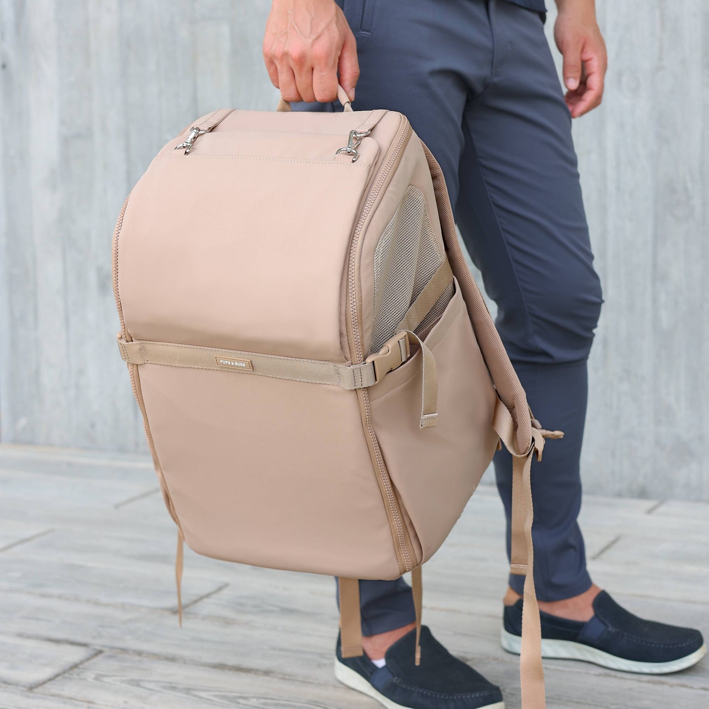 Backpack for dogs and cats