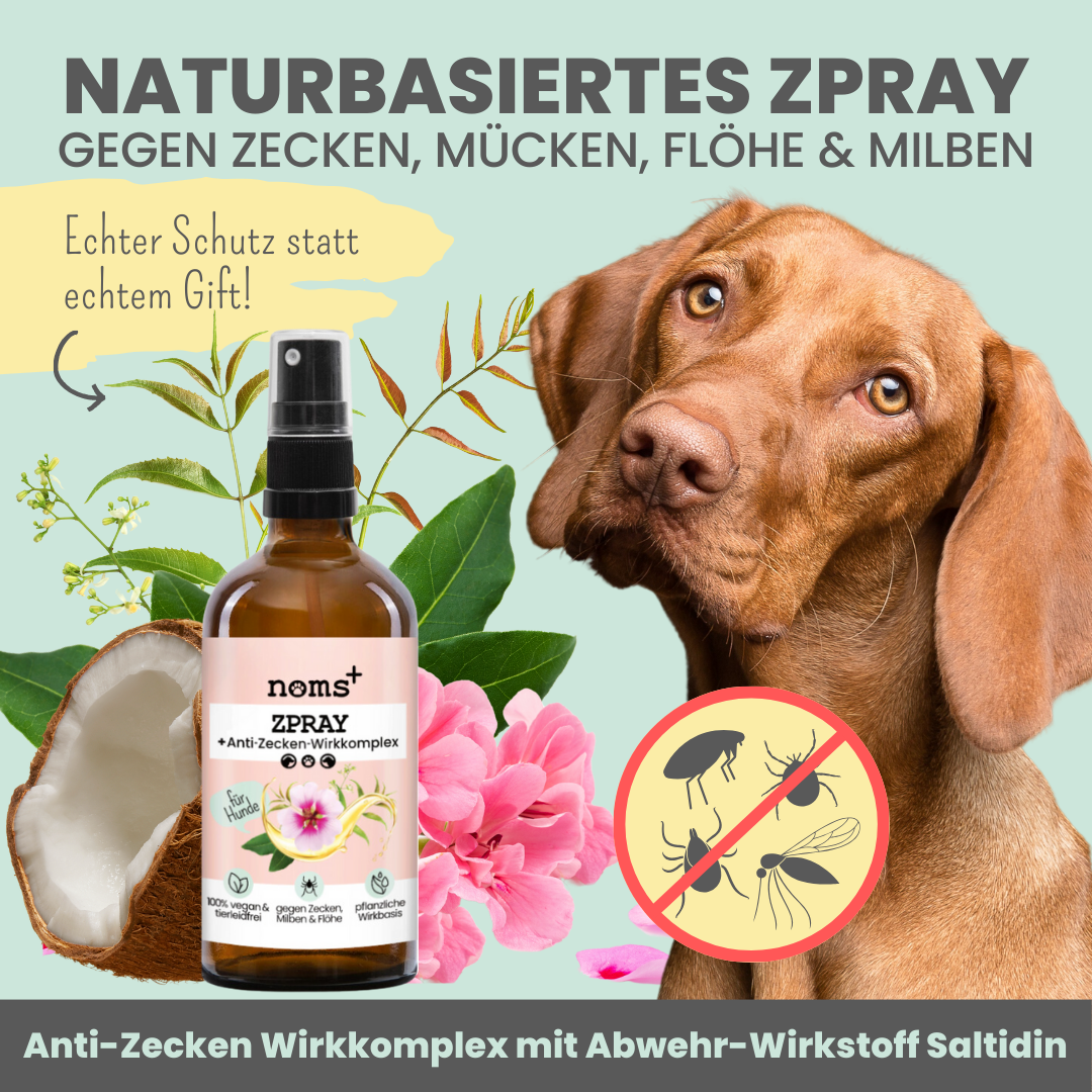 'Zpray' Zeckenspray für Hunde gegen Zecken, Flöhe, Milben & Mücken