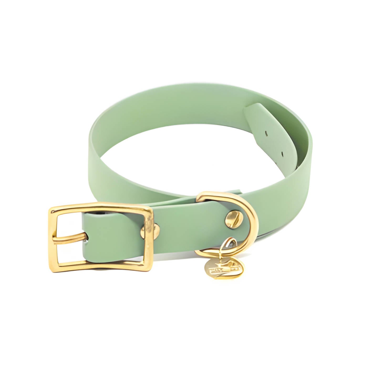 Collar Biothane - Mint