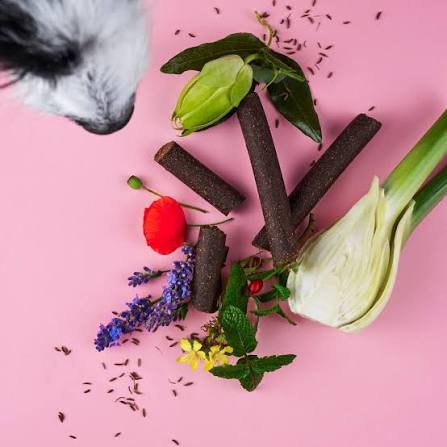 Chillout Sticks für Hunde – Natürliche Hilfe bei Stress & Unruhe