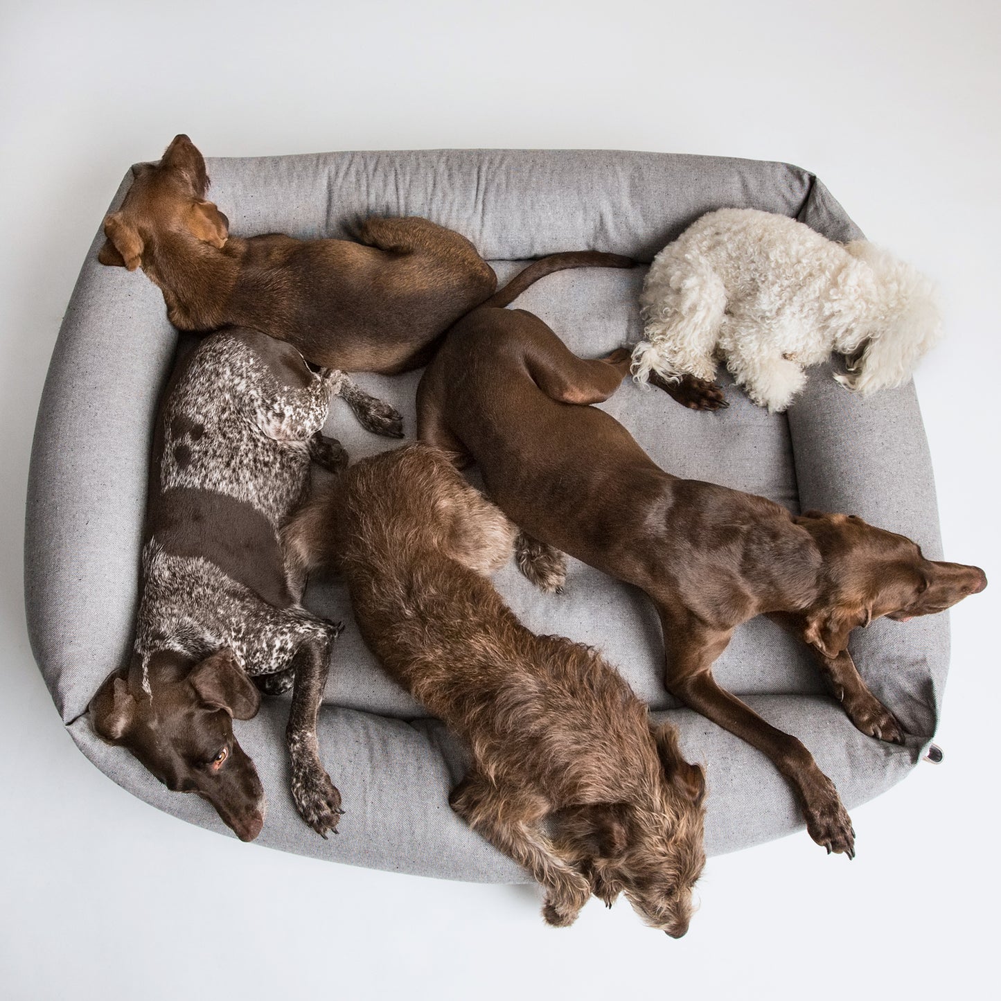 Dog bed Sleepy Deluxe Tweed Grey