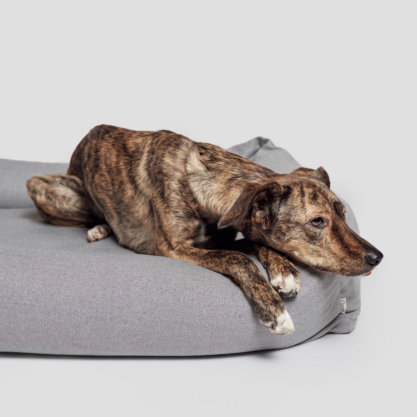 Hundebett Sleepy Deluxe Tweed Grey