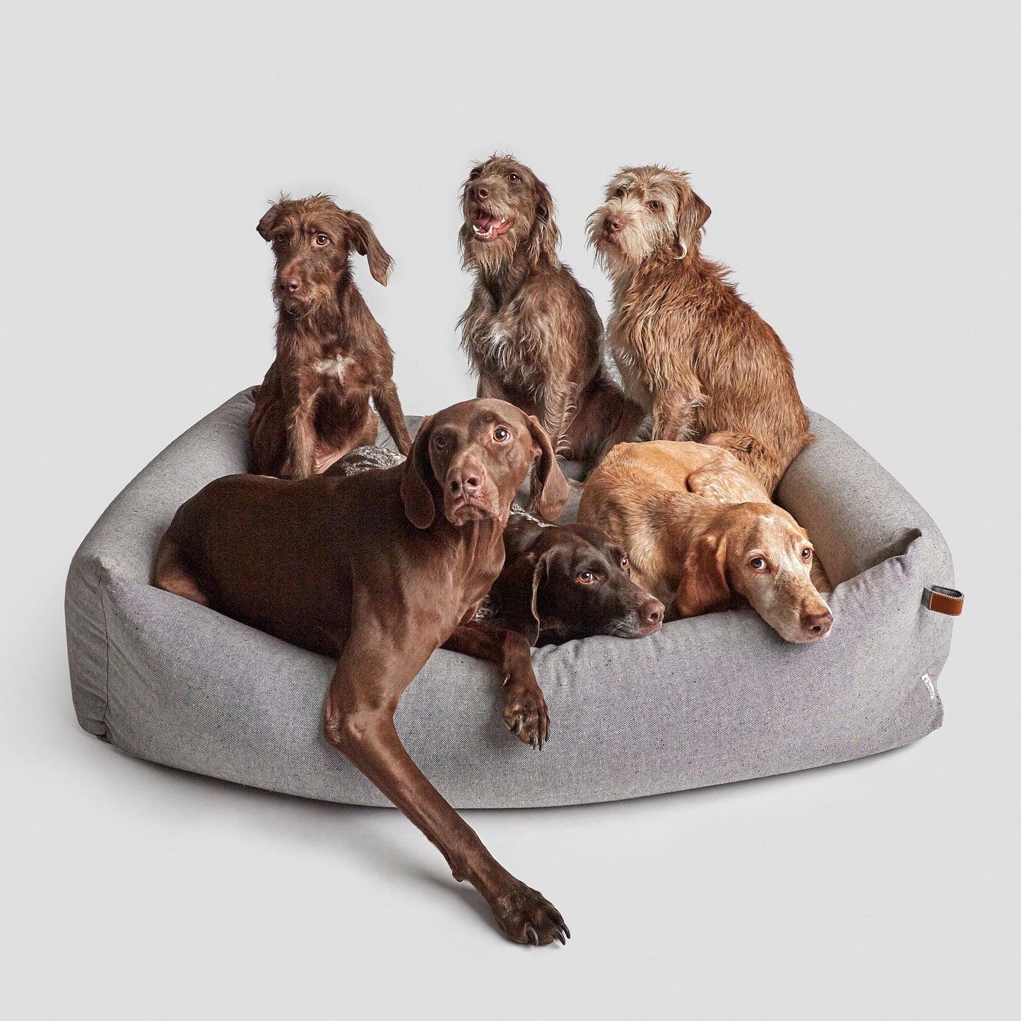 Hundebett Sleepy Deluxe Tweed Grey