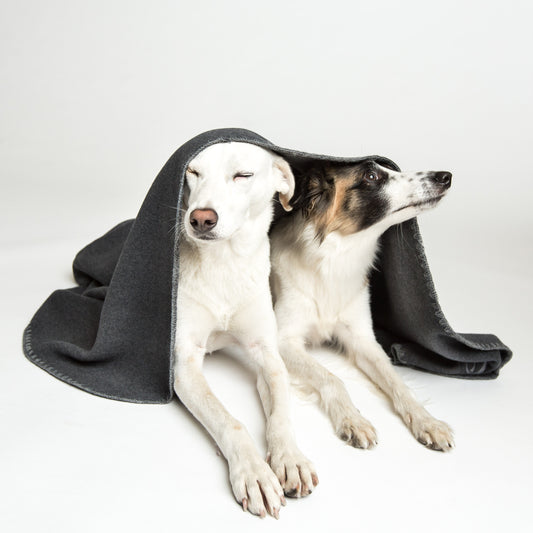 Hundedecke Soft Fleece Dark Grey