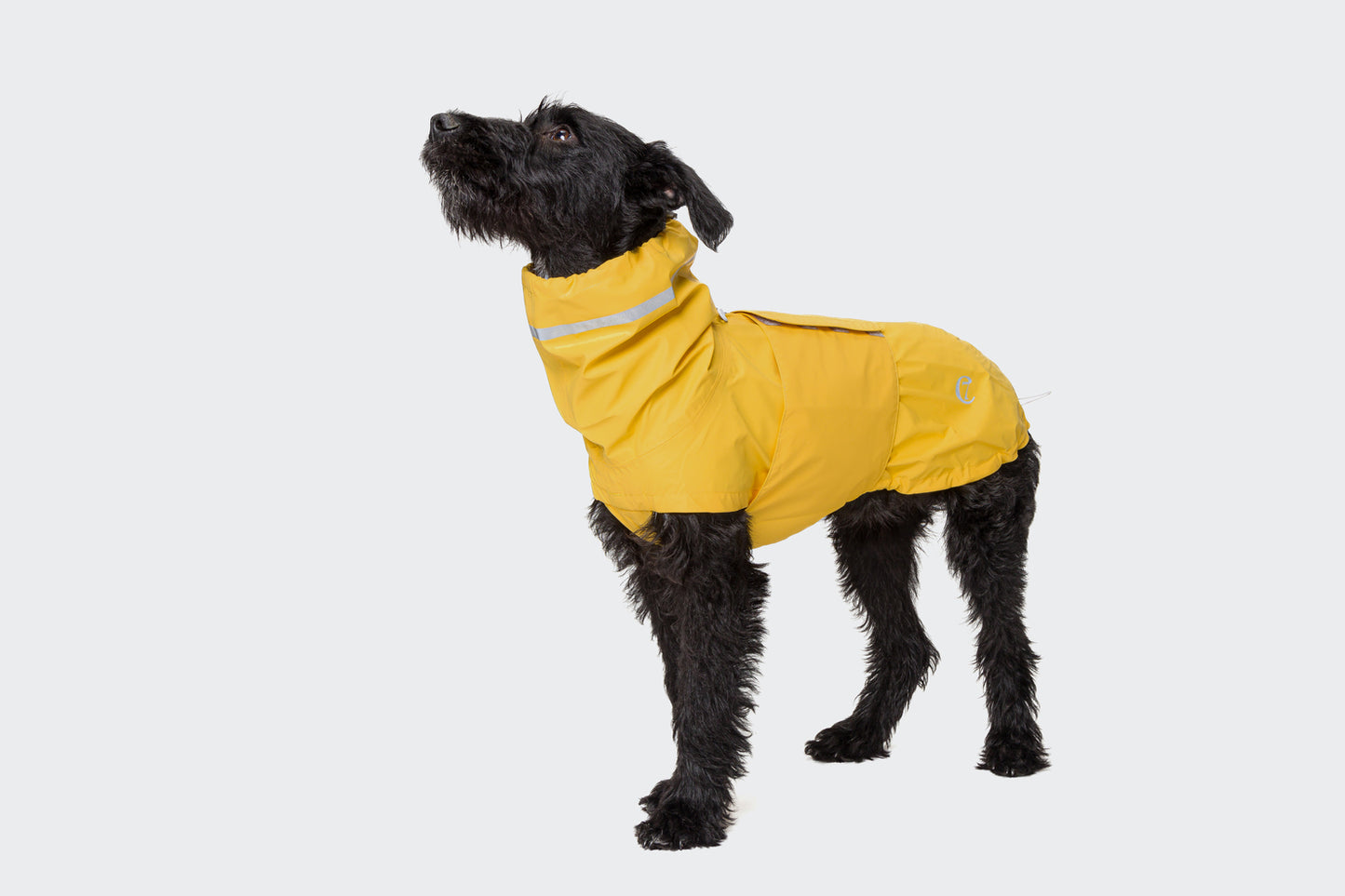 Dog raincoat Hamburg Saffron