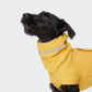 Dog raincoat Hamburg Saffron