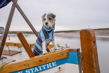 Hunde-Bademantel Harbour