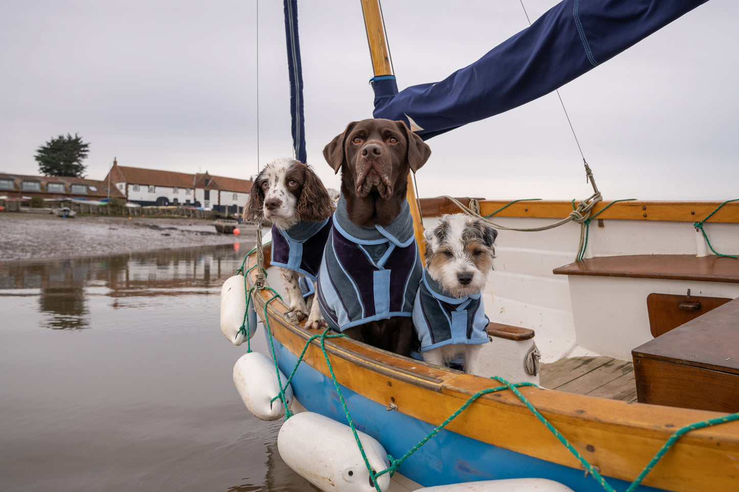 Dog bathrobe Harbour