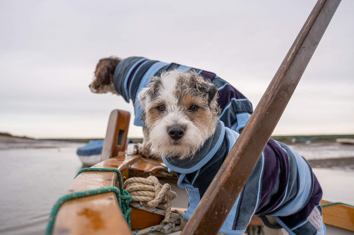 Dog bathrobe Harbour