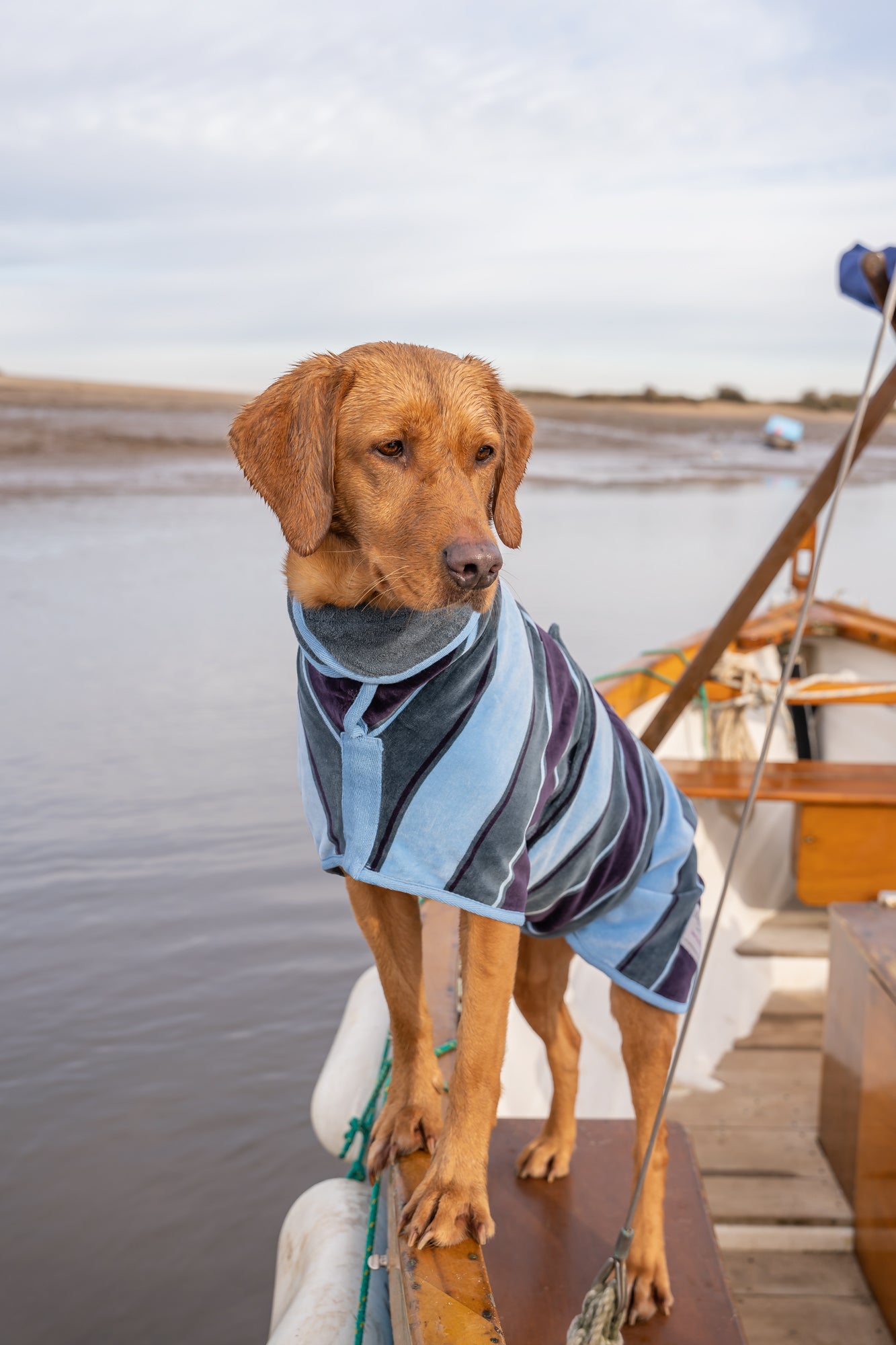 Dog bathrobe Harbour