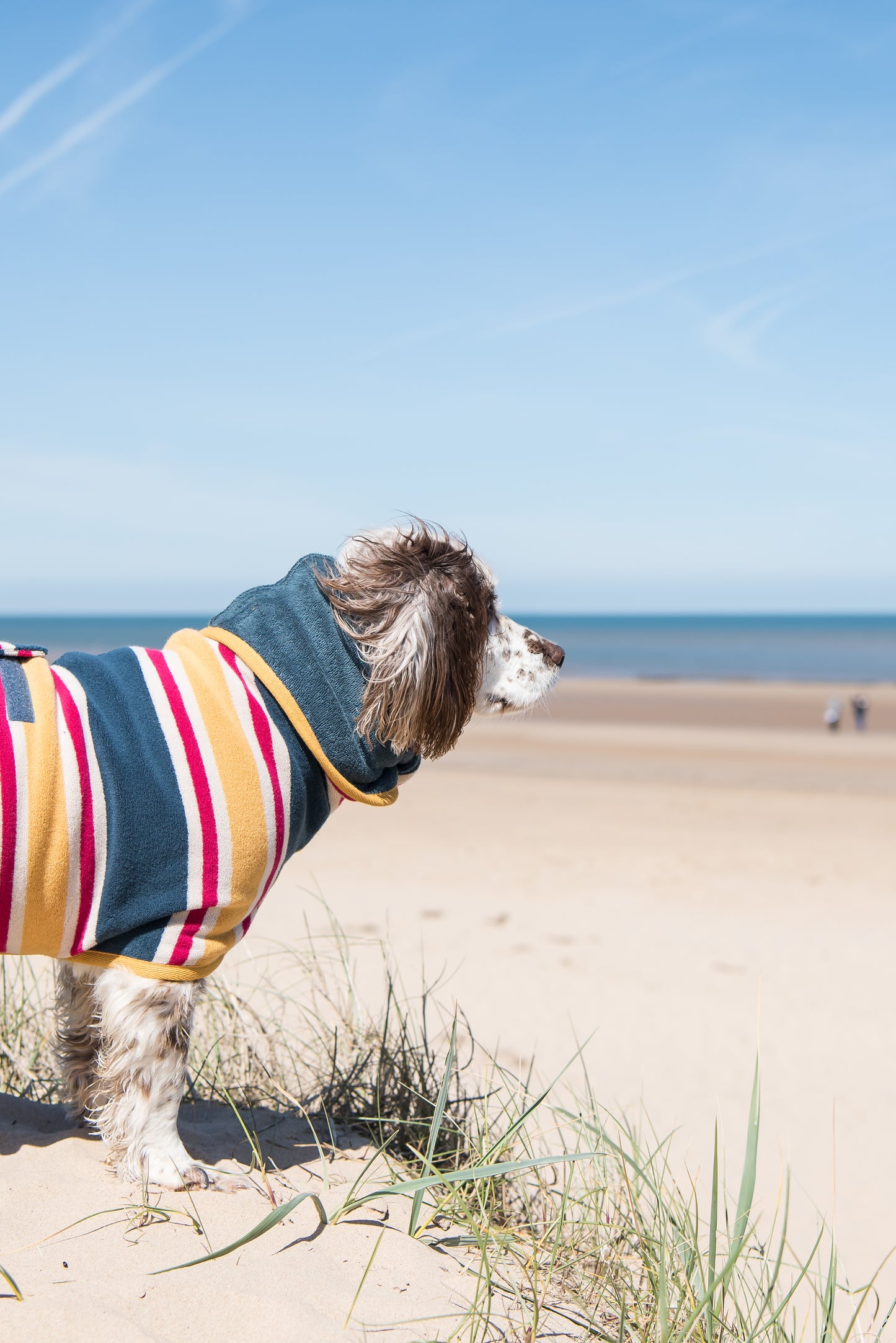 Dog Bathrobe Beach