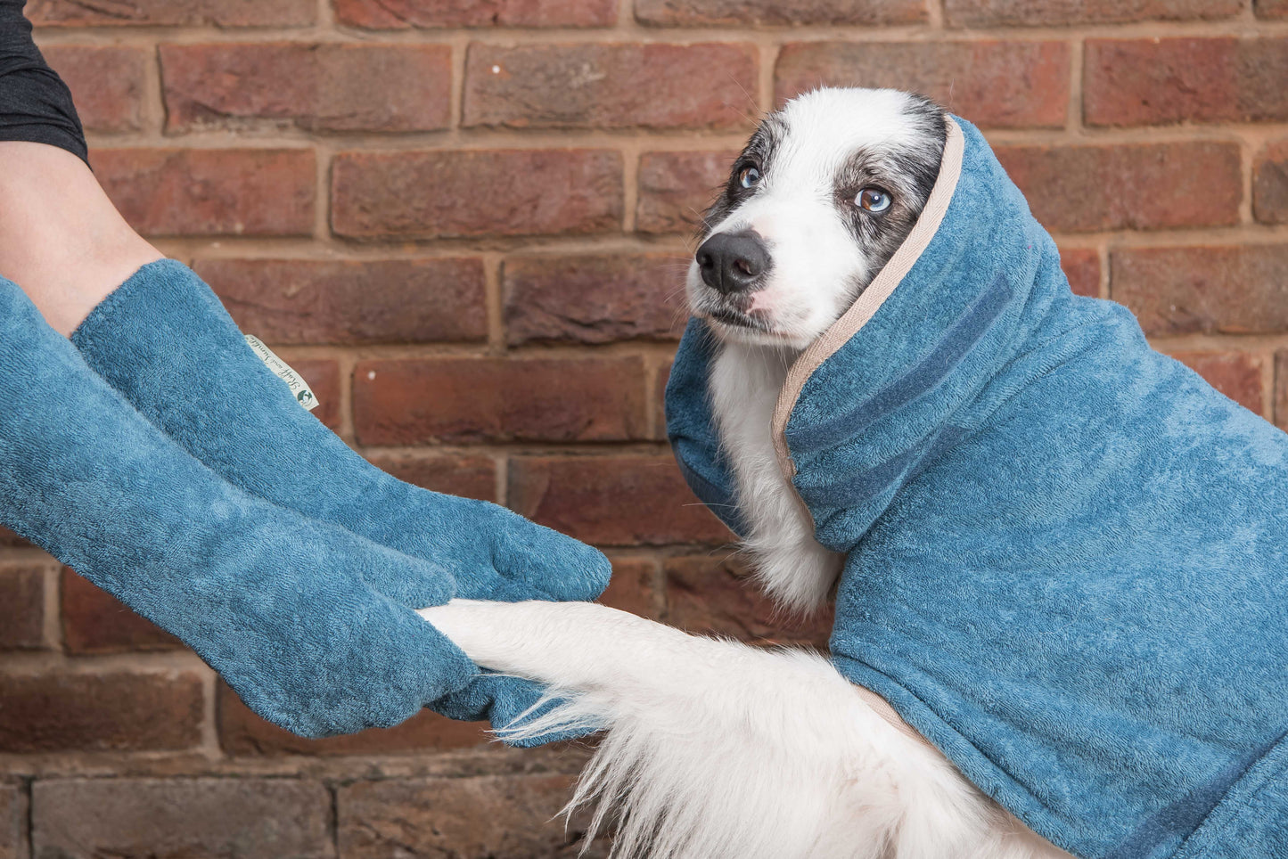 Trockenhandschuhe für Hunde - Moss