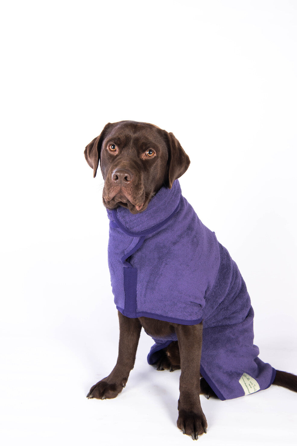 Dog bathrobe Heather