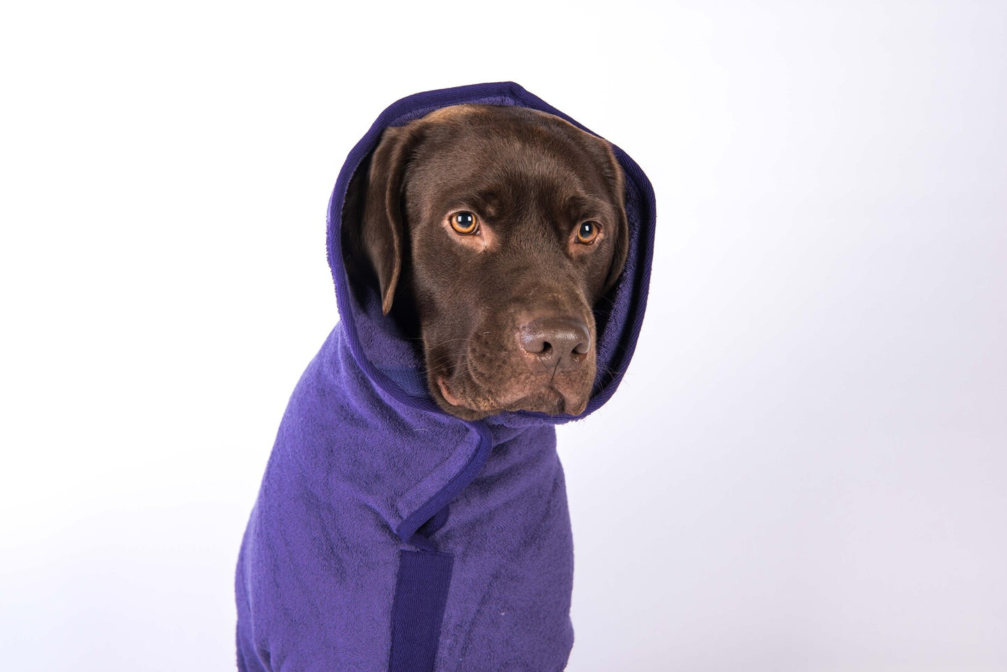 Dog bathrobe Heather
