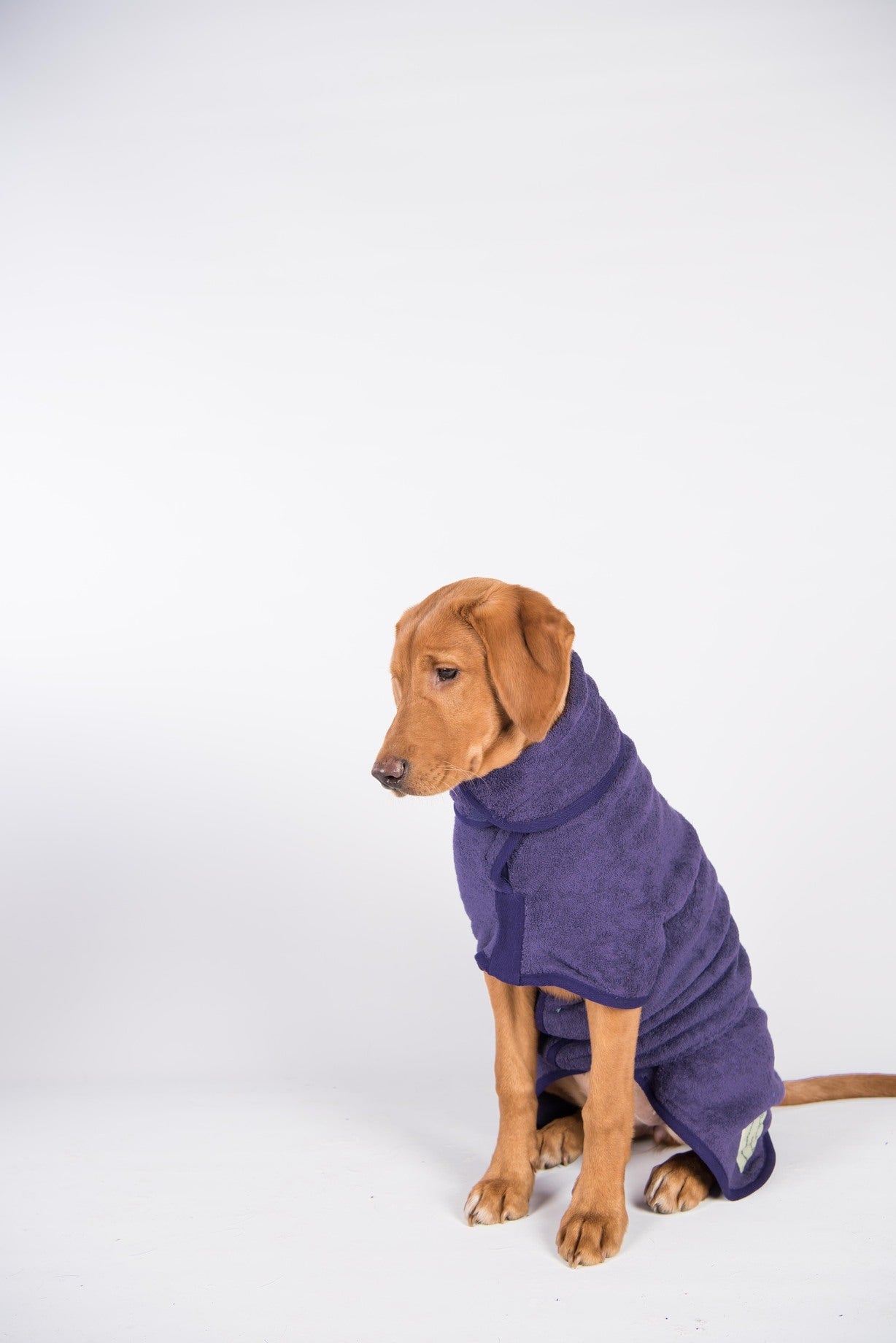 Dog bathrobe Heather